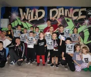 школа танцев wild dance academy изображение 3 на проекте lovefit.ru